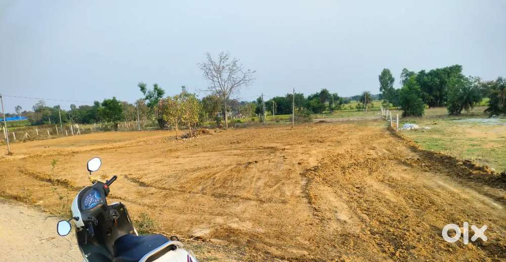 20 Guntas  Agriculture Land
for sale, price 31 lakhs
