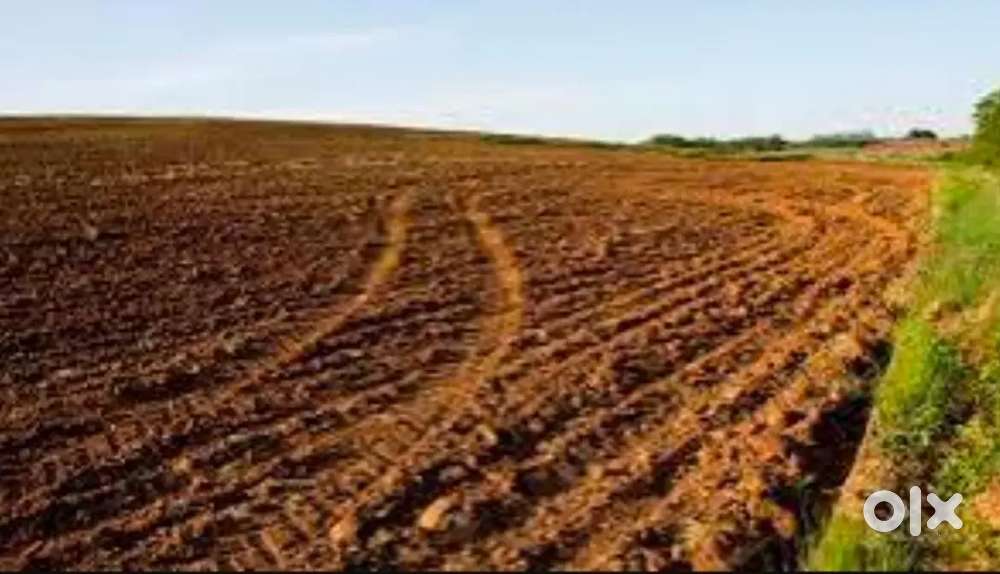 Low cost Agri land for investment - 50000/cent