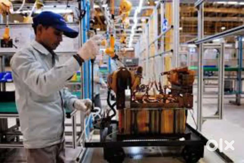 Dream Job Alert: Manufacturing Company Hiring