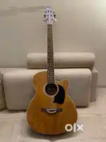 Washburn Lion Semi electric guitar