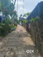 6 cent plot at thathampally