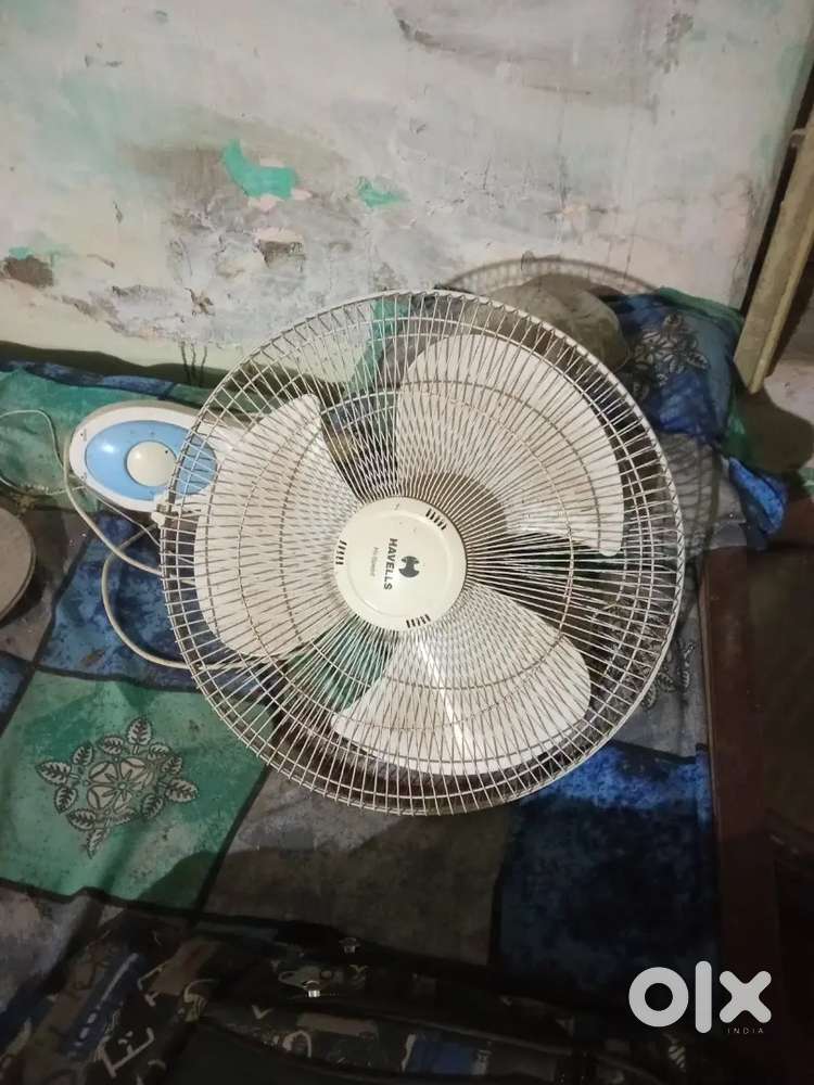 Havells fan