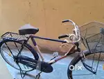Brand New Bicycle