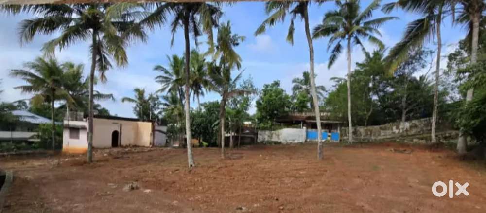 5 cent land for sale between kudappanakunnu and St.Josrph school.