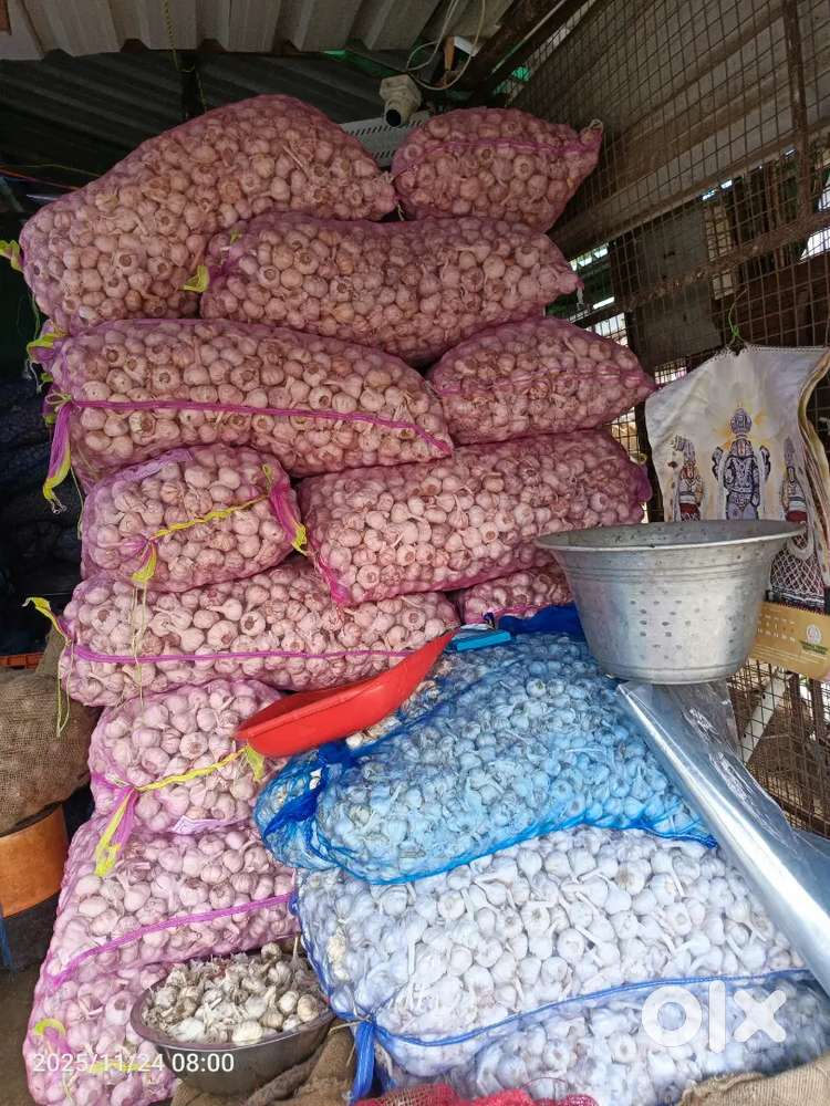 Want driver cum helper house helper shop helper for grocery shop