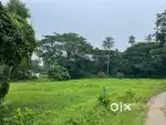 15 DISMIL NHI SIDE LAND FOR SALE NEAR BIRAGOVINDPUR GATE