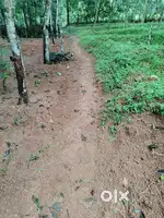 33 land at Mylachal (Kattakada -Mandapathinkadav-Ottasekharamangalam