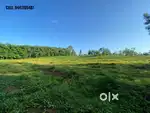 3.20 acre Land for Villas or Farm house