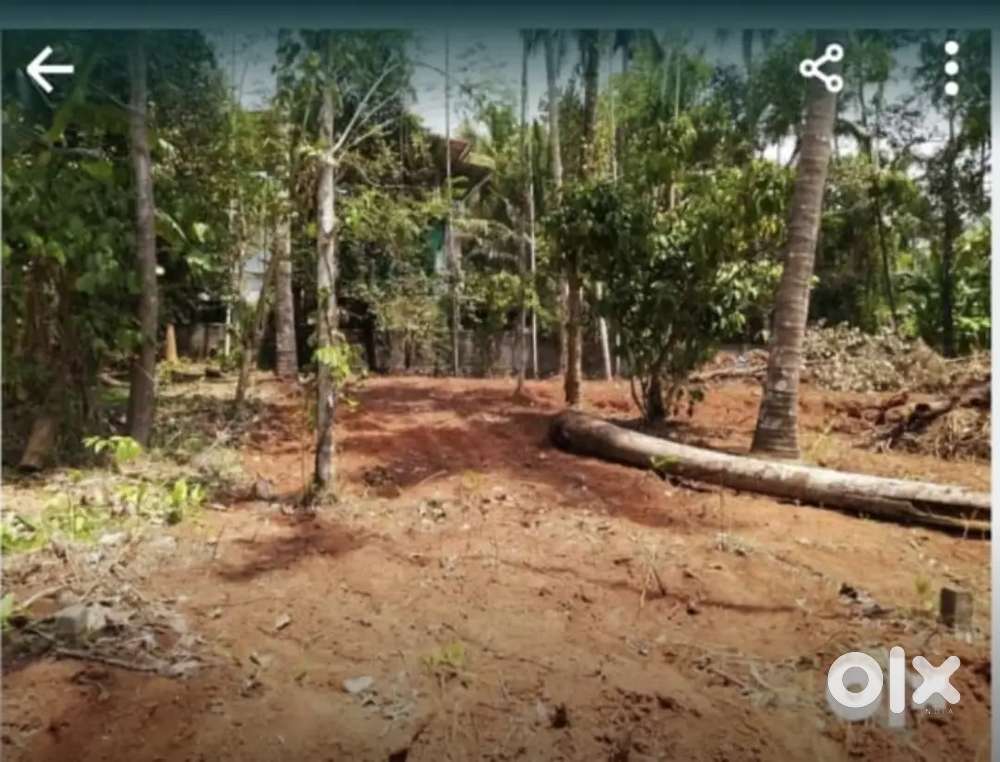 8 cent land for housing at Kolazhy, Thrissur