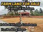 Farm land sale in palakkad road