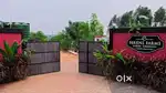 Managed Farm plot in Hoskote