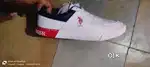 Us polo Assn