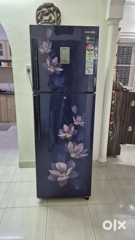 Samsung Double Door Refrigerator 255 Ltrs