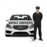 Am a house driver job Looking for a house driver job in Nellore