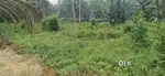 9 Katha land/The price has been set at 2,80,000 taka per cut.