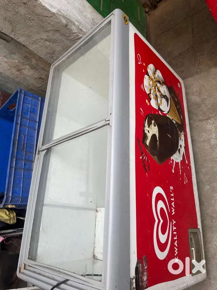 Western Deep Freezer 500L