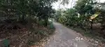 3.20acres VADAKKENCHERY 15km Bus route frontage non flooded