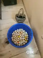 Golf Practice Balls