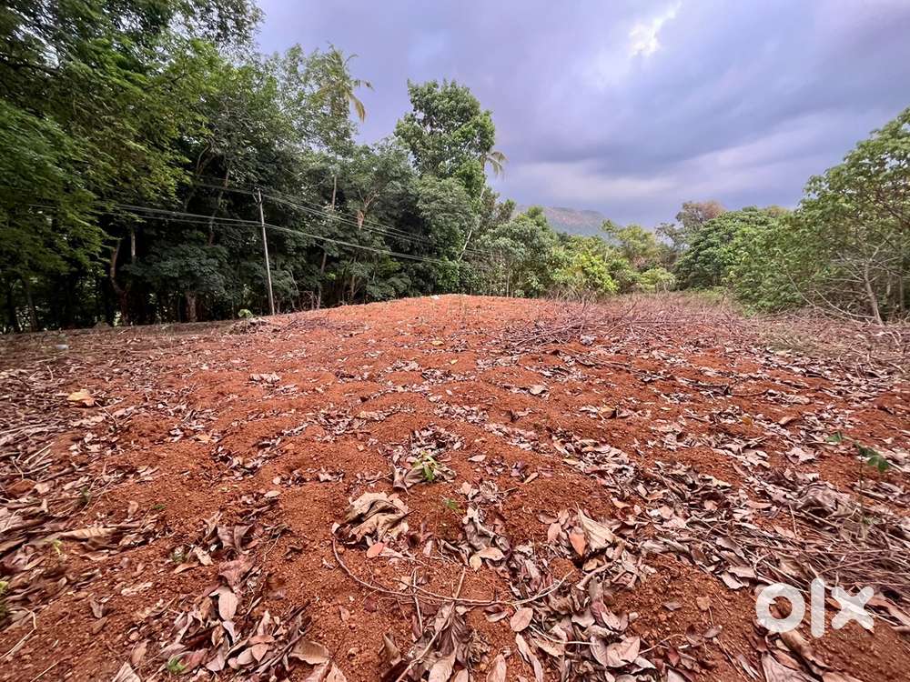 House plot for sale near manathoor