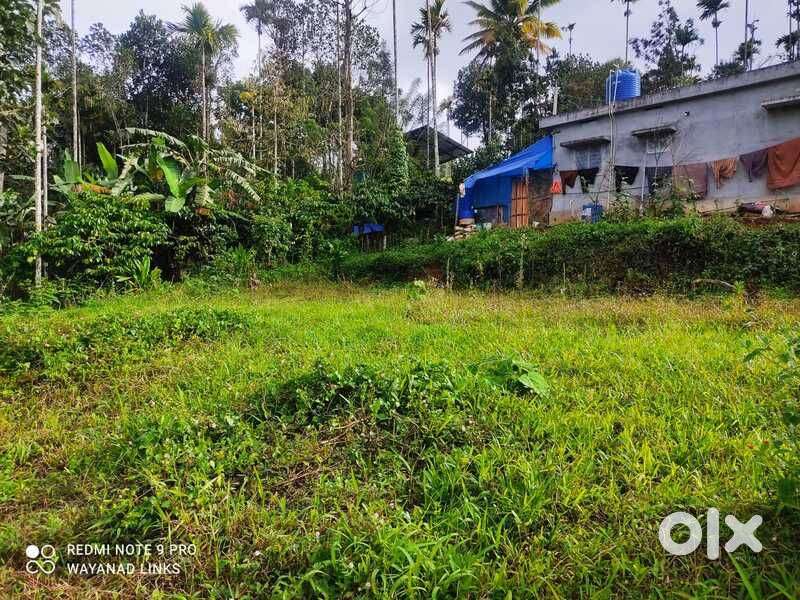 10 Cent Scenic Plot for Sale in Palakkamoola Wayanad