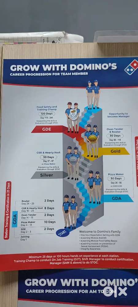 Dominos delivery partner