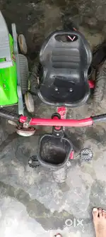 children tricycle and horse