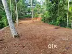 22 cent Land for sale in Kodungoor