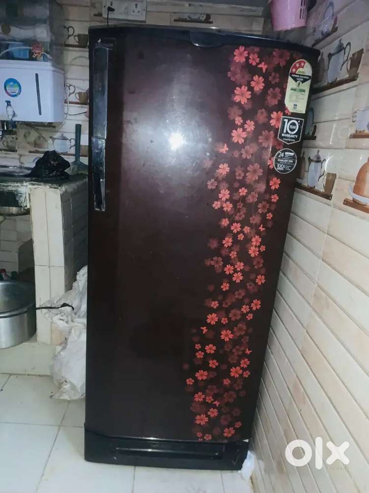 Godrej EdgePro 210 L SingleDoor Ref (Model: RD EdgePro 210 DS 3.2)