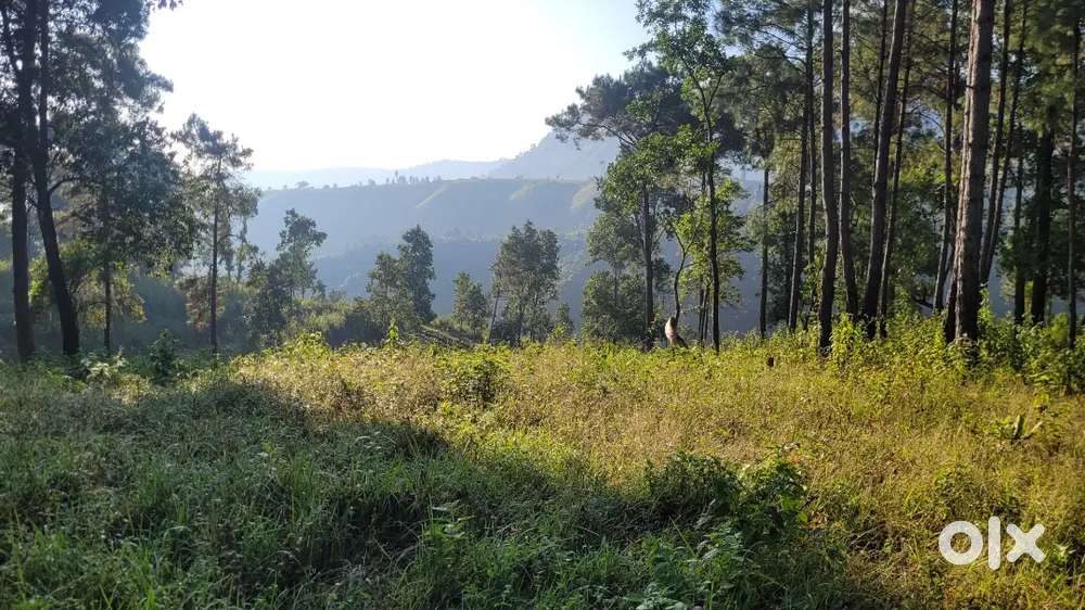 Land at nongkohlew...10mins from lad umsaw mawtawar