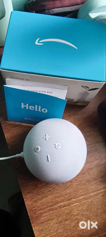 Echo dot with charger