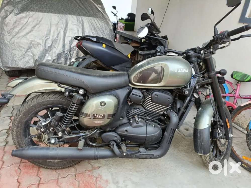 One year old jawa 42