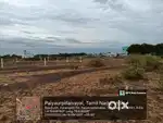 10.6 cents plots for  sale. In Sakthi Nagar.Panangadi road