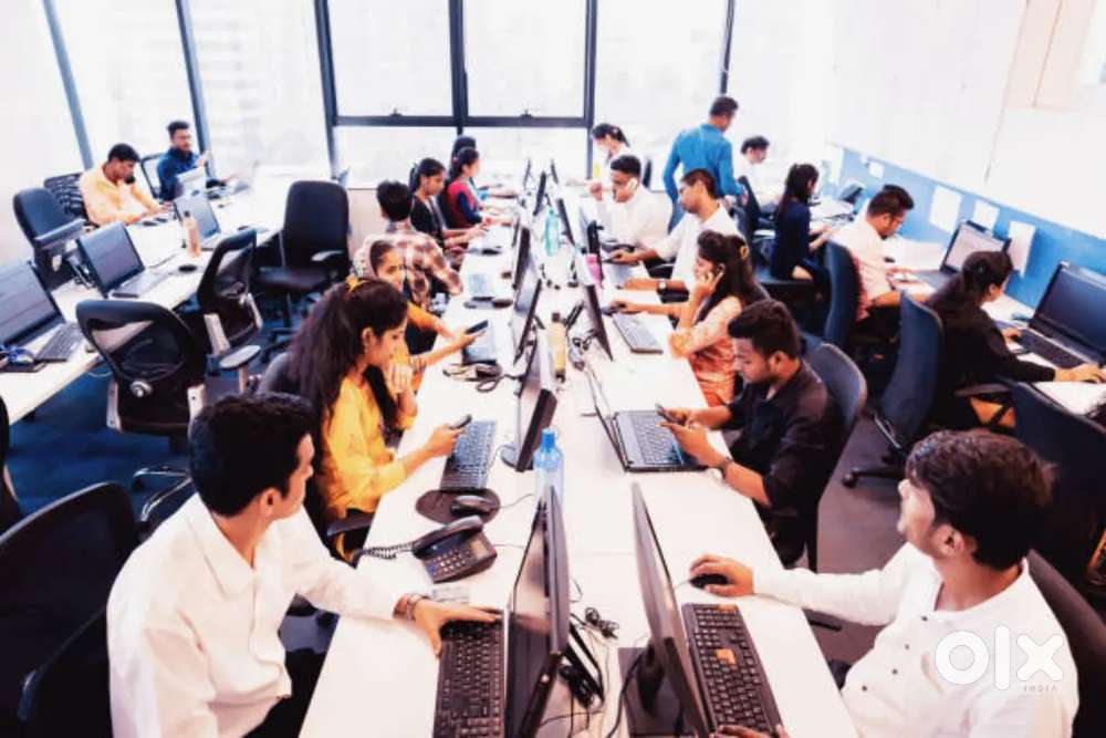 Software developer IT and Non IT