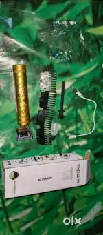 Golden Drimmer