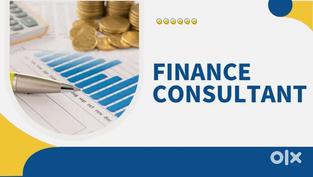 FINANCIAL CONSULTANT