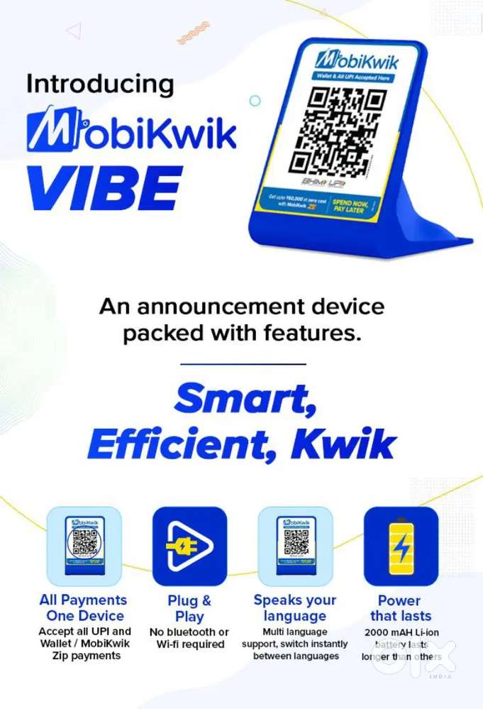 MobiKwik Team Leader and Sales Executive