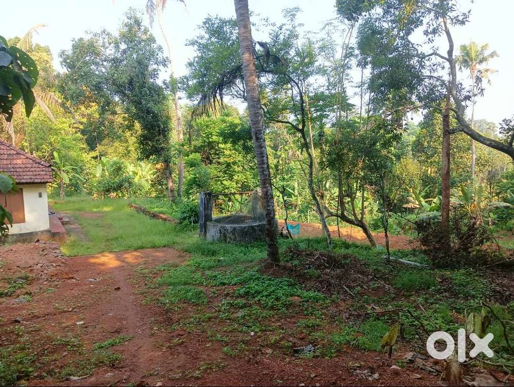 90 Cent land for Sale Near Kadayirup