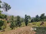 Near dunagiri snowfall area