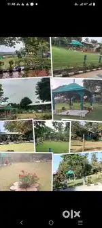 Lavish clean n green environment Farm for yearly rent