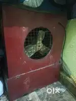 Mujhe yah Sel karna hai padhaai Puri ho chuki hai Ghar J