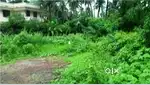 8.5 cents land at Kuriachira