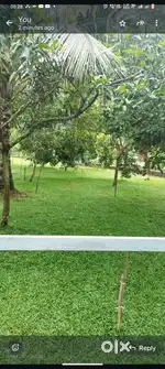 For rent or lease sale