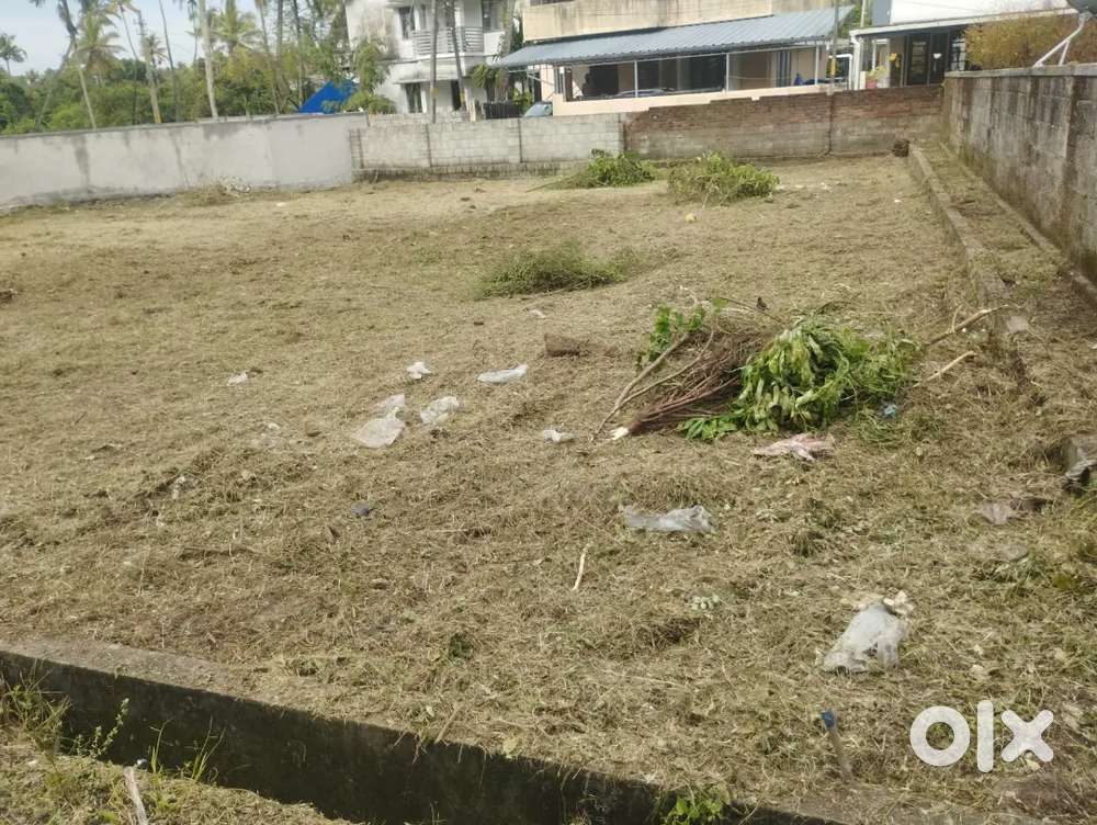 11.5 cent plot for sale- Panangad