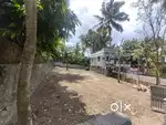 PLOT FOR SALE, MANVILA 8.5cents