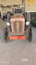 Tafe Massey ferguson