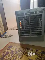 Desert 1 month old cooler