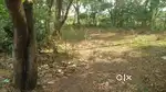 Land available at kunnissery