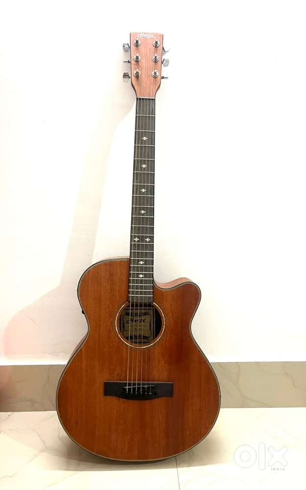 Hertz Guiter