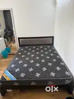 Queen Size Orthopaedic Mattress