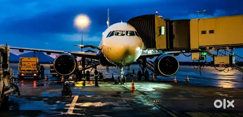 Indigo Airlines jobs /Vacancy for Airport Ground staf / Driver / Crew